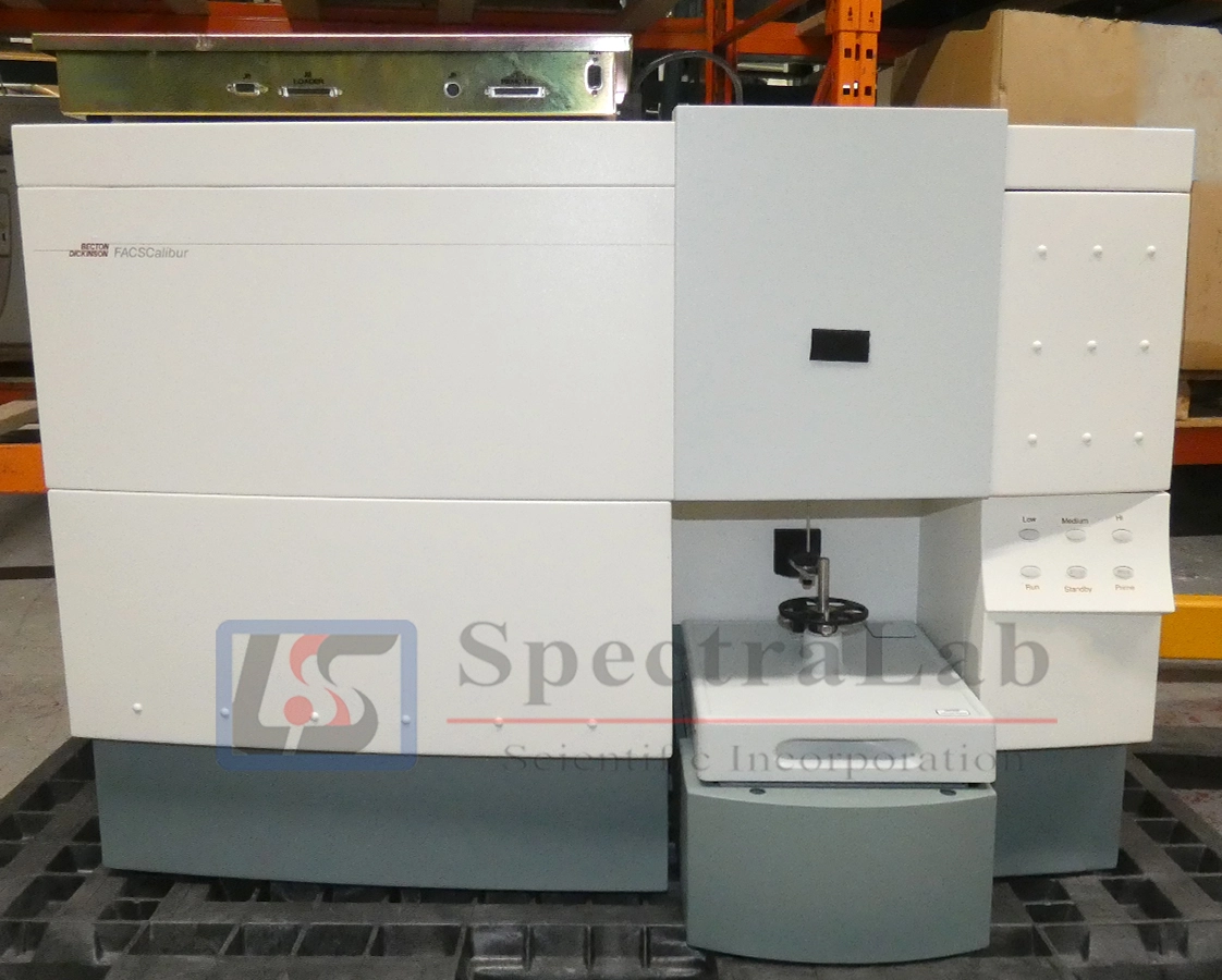 BD FACSCalibur Flow Cytometer