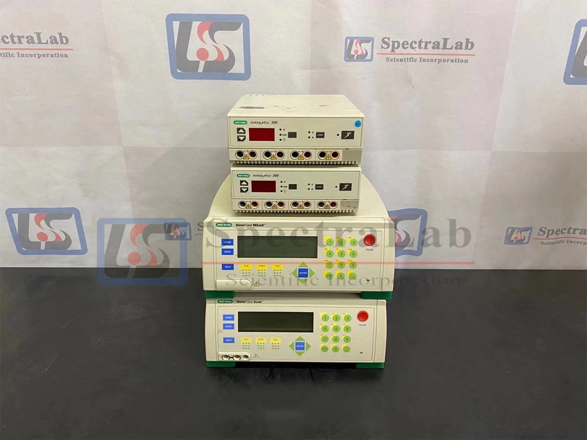 Bio-Rad PowerPac 300 Electrophoresis Power Supply