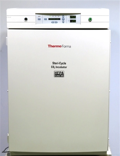 Thermo Forma  Steri Cycle 370 CO2 Incubator