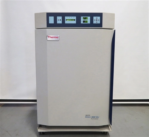 Thermo Scientific Napco 8000 CO2 Water Jacketed Incubator