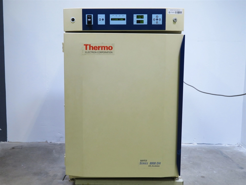 Thermo Scientific Napco 8000 DH CO2 Incubator w/ Sterilization Cycle