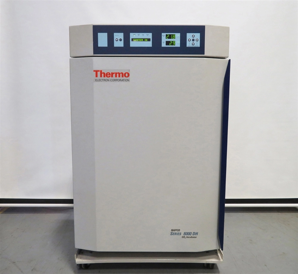 Thermo Scientific Napco 8000 DH CO2 Incubator w/ Sterilization Cycle