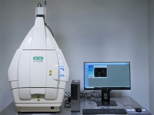 Biorad ChemiDoc MP Touch Imaging System | LabX.com