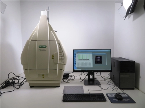 Biorad ChemiDoc XRS+ Imaging System
