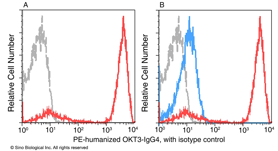 Human CD3 (humanized OKT3) Antibody-Human IgG4 (GMP-grade)
