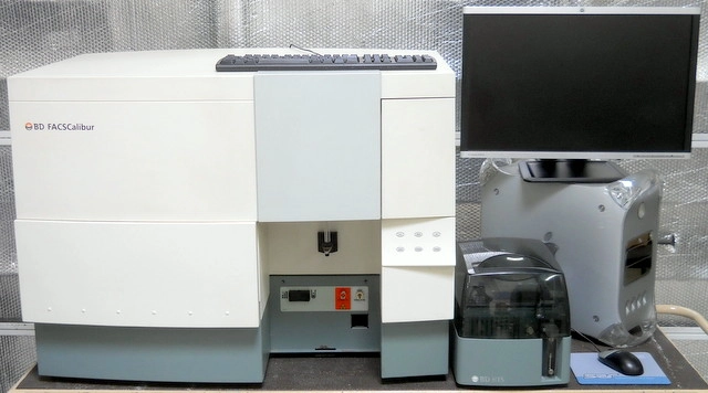 Becton Dickinson FACScalibur Flow Cytometer with HTS
