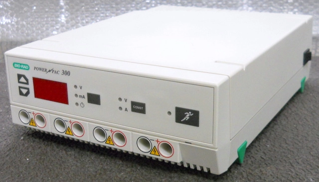 Bio-Rad PowerPac 300 Electrophoresis Power Supply