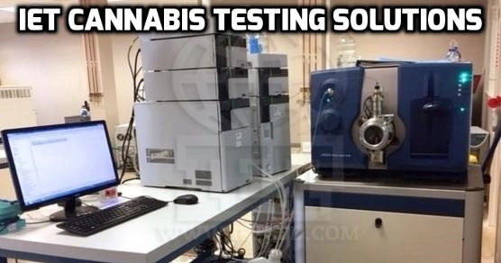 IET Cannabis Testing