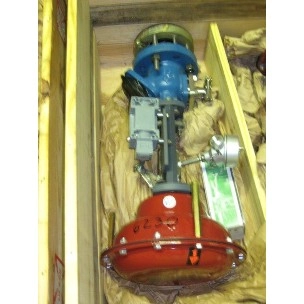 De Dietrich 2 " Dia Glass Lined Vessel Valve