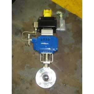 1.5 " Habonim Valve