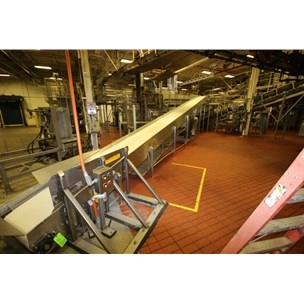 SS Conveyor