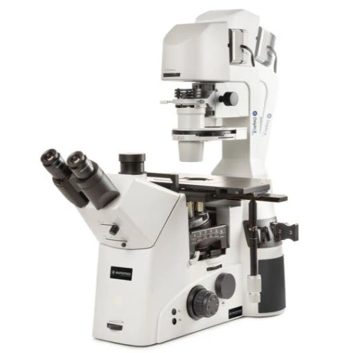 Globe Scientific Trinocular Delphi-X Inverso inverted, microscope, w/ WF10x/25mm eyepieces
