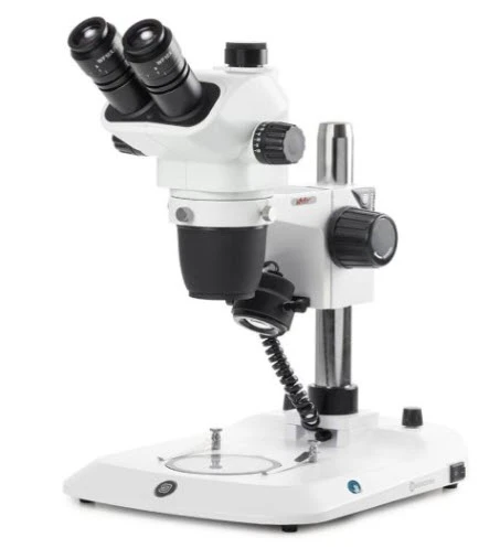 Globe Scientific Trinocular stereo zoom microscope Nexius, Zoom Evo,2 LED lights w/Gooseneck, camera
