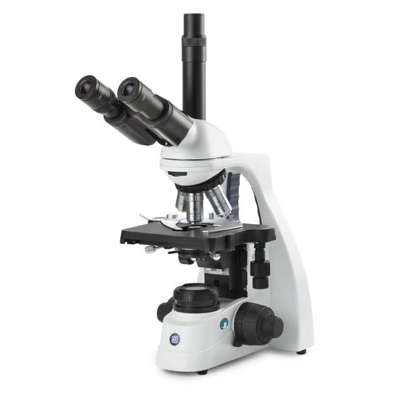 Globe Scientific bScope trinocular microscope, HWF 10x/20m, eyepiece,quin. nosepiece with plan PLi
