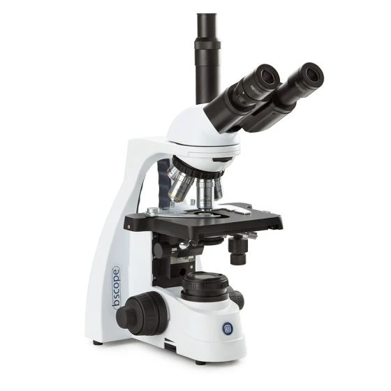 Globe Scientific bScope trinocular microscope,HWF 10x/20mm, eyepiece, quin. Nosepiece, w/camera