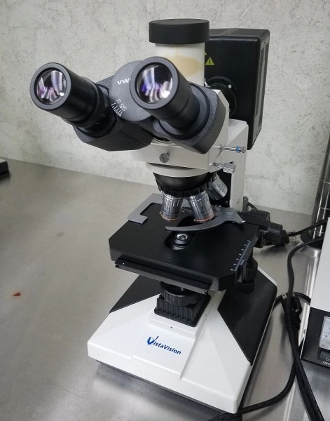 VWR Compound Fluorescence Microscope