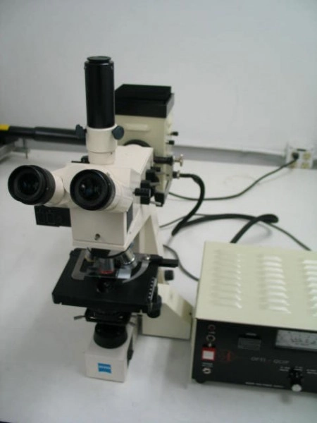Zeiss Axiolab Fluorescence Microscope