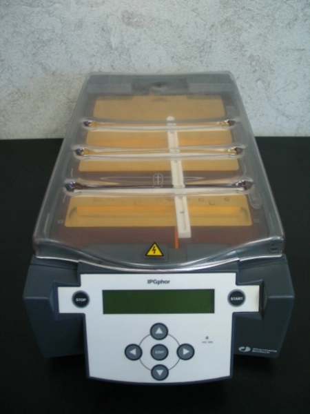 Pharmacia IPGphor Isoelectric Focusing System