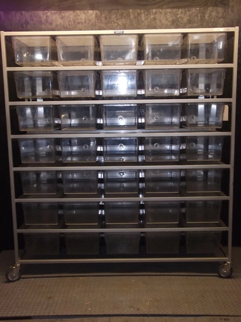 35 Cage Rat Maternity Rack with auto watering