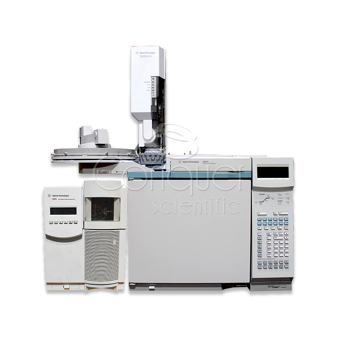 Agilent 6890N GC with 5975 MSD