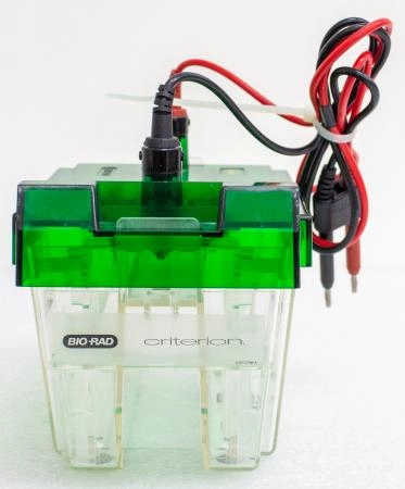 Bio Rad Criterion Cell Midi Electrophoresis Cell
