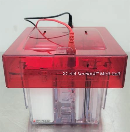 Invitrogen XCell4 SureLock Midi-Cell
