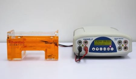 Thermo Scientific EasyCast B1A Mini Gel Electrophoresis System with Power Source