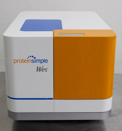ProteinSimple Wes Western Blot System