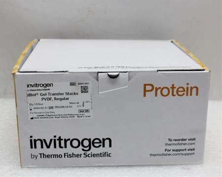 Invitrogen iBlot Gel Transfer Stacks PVDF Mini iB401001