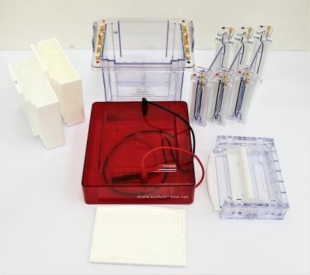 Invitrogen Complete Kit XCell4 SureLock Midi-Cell and Accessories