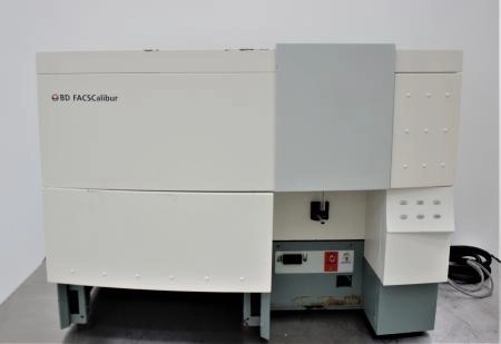 BD Bioscience FACScaliber Flow Cytometer