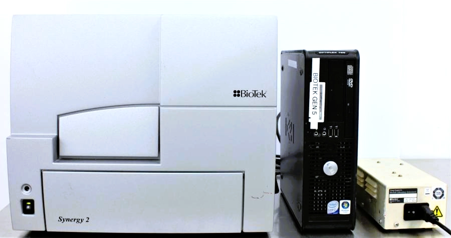 Main Image