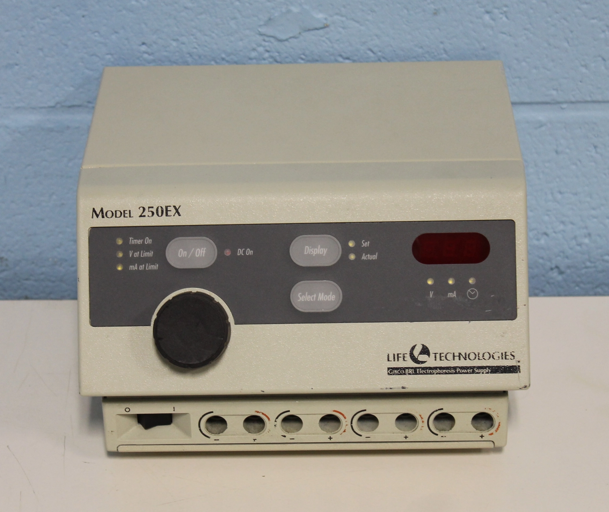 Main Image