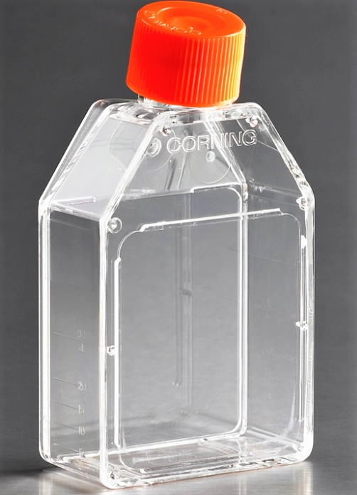 Corning 430641 Cell Culture Flask with Canted Neck &amp; Vented Cap - 75 cm&sup2; (Pack of 5)