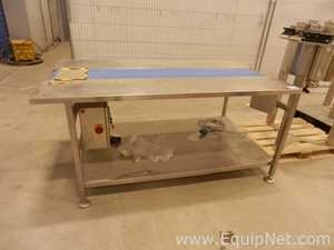 Baldwin Stainless Steel Indexing Conveyor Table 330mm Wide Moving Belt Table X 1900mm Long