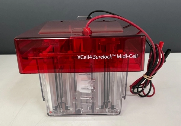 XCell4 SureLock&trade; Midi-Cell