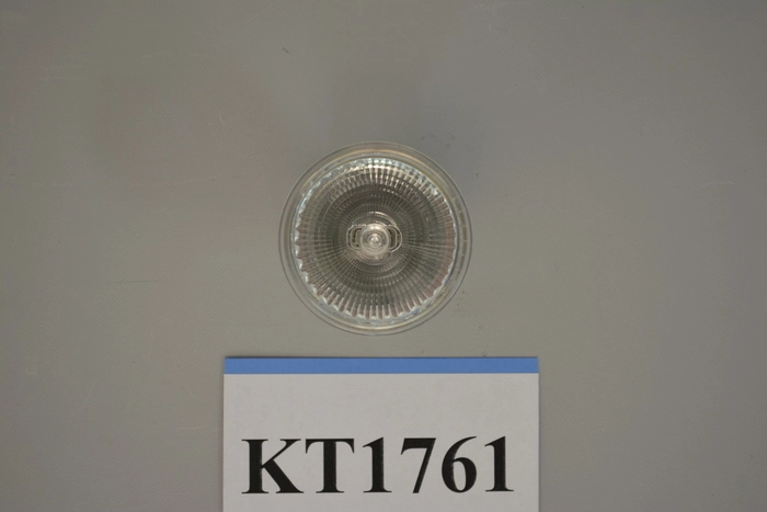 KLA-Tencor | Halogen Lamp, 12V, 50W