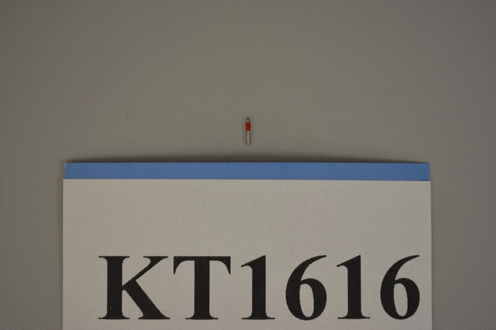 KLA-Tencor | 120391, 12.5, 60 Degree Micron Stylus Tip (Red Band)