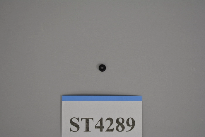 Semitool | ORNG082E00112, 104 O-Ring Kalrez 4079