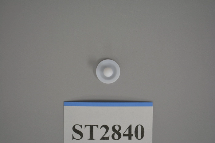 Semitool | C50006M5-1A1-HP, iCom Line Diaphragm, PTFE. Size 1