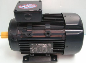 LEESON IEC PREMIUM EFFICIENT METRIC MOTOR, CAT NO: 19220700, MODEL NO: C90T17FZ18A, DESIGN: 3 PHASE