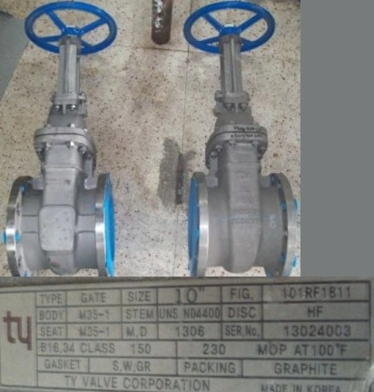 TY VALVE CORPORATION 10" 150, M35-1, FLANGED GATE VALVE FIG: 101RF1811, BODY: M35-1, STEM: UNS N0440