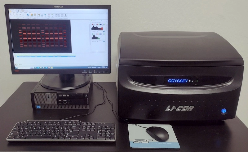 Li-Cor Odyssey CLx 9140 Imaging System