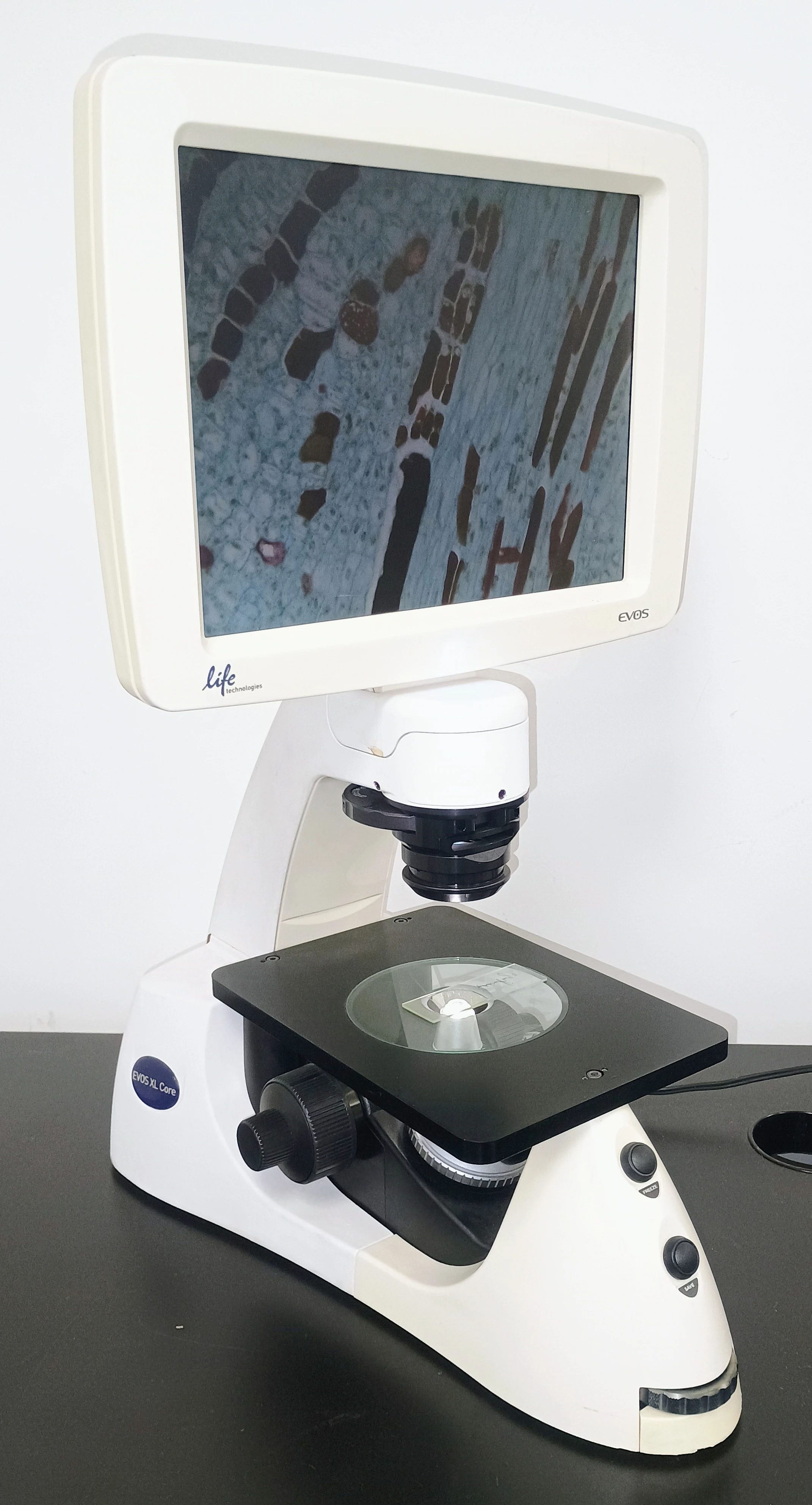 Life Technologies EVOS XL Core Inverted Imaging Microscope | LabX.com