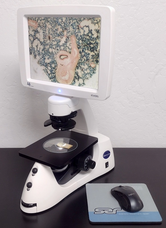 Life Technologies EVOS XL Core Inverted Imaging Microscope
