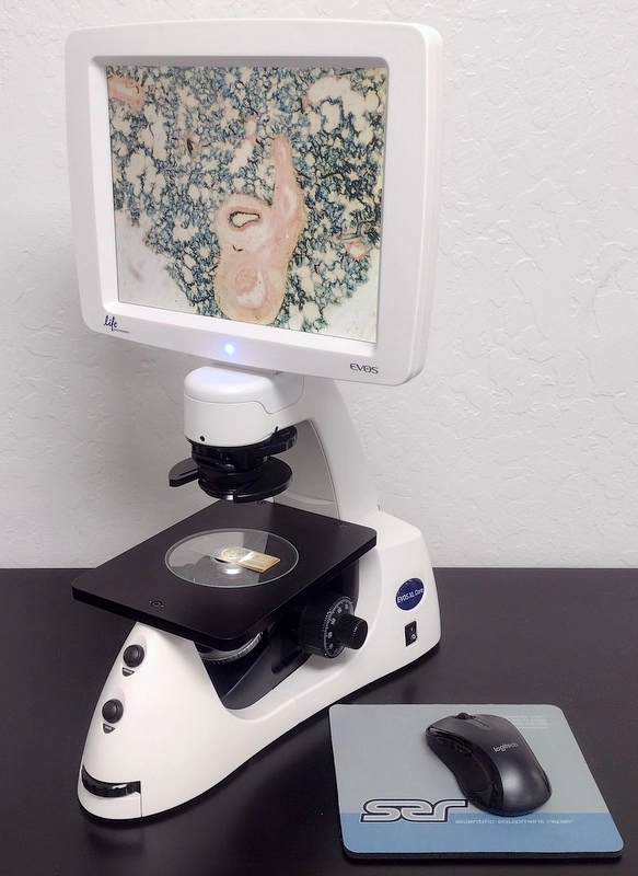 EVOS XL Core Inverted Imaging Microscope