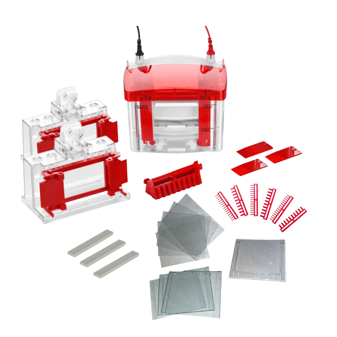 (NEW) Mini-PRO™ Vertical Electrophoresis Cell Supply Kit