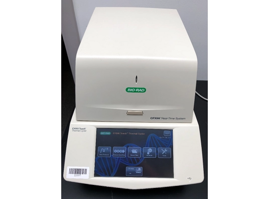 Bio-Rad C1000 Touch w/ CFX96 Well Reaction Module PCR / Thermal Cycler