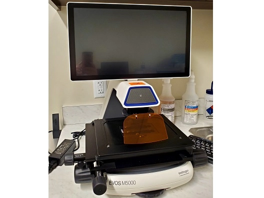 Thermo Scientific EVOS M5000 Cell Imaging System