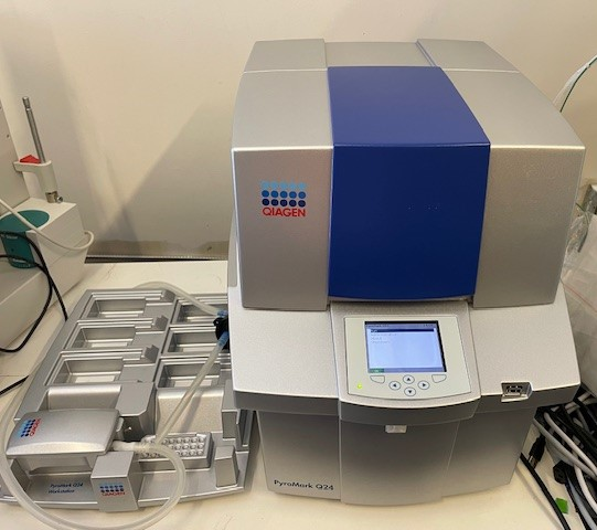 Qiagen PyroMark Q24